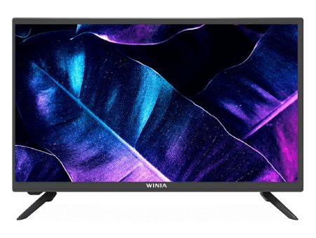 Televisión Pantalla 24 Pulgadas Winia HD L24C7500QN Supply